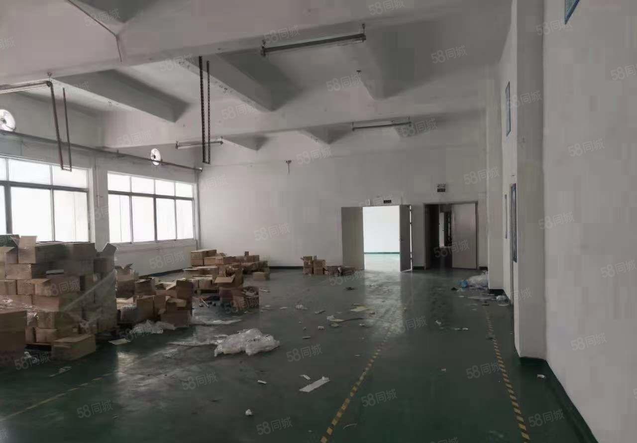 清溪大利工业区独门独院厂房3000平方 精装修 价格优惠