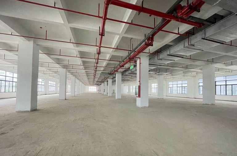 清溪全新厂房出租，每层6部电梯，园区配套齐全！
