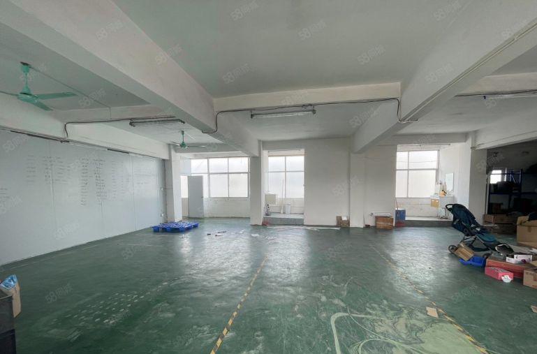 10元清溪厂房，带豪华办公室，拎包入驻