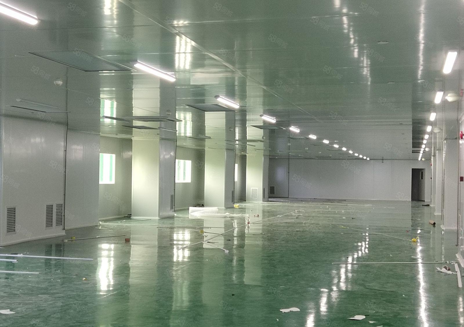 清溪三中工业区1900平现成精装修无尘车间仓库厂房出租可分租