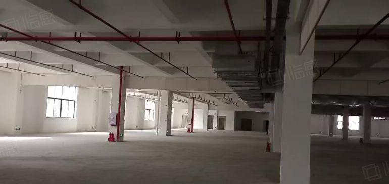 清溪客运站附近新出独院三层45000平厂房出租可分租行业不限