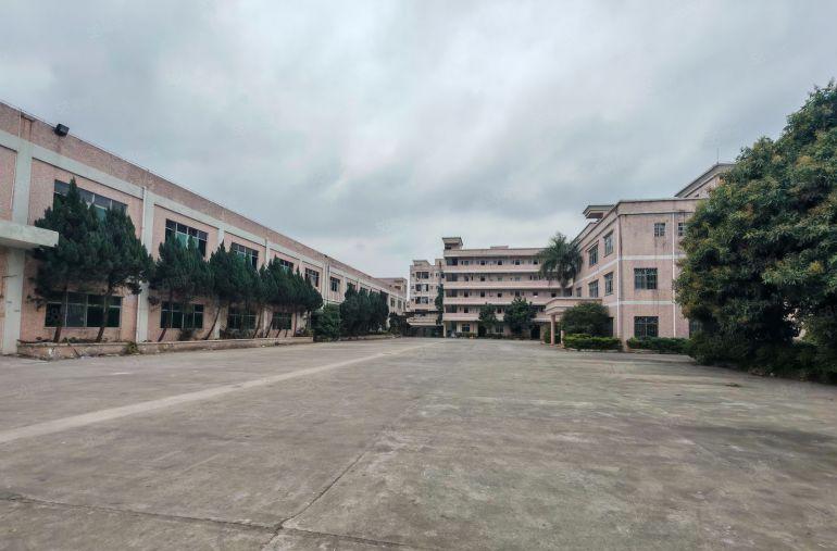 13块租清溪三中原房东9800平独院300平起分实际面积出租