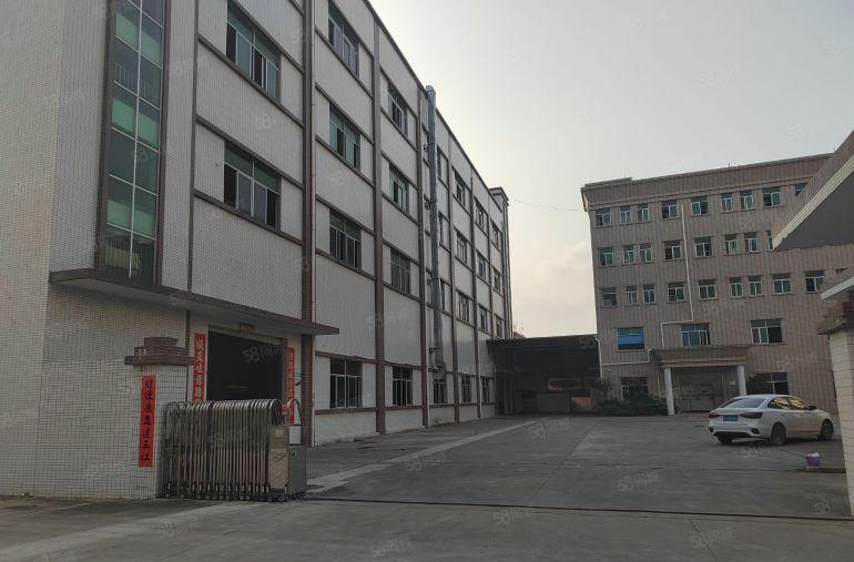 清溪镇三中村 新出标准一楼1180平厂房出租 带装修办公室