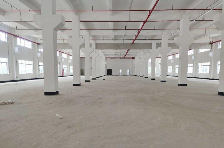 200平起分 清溪三中新出独院厂房120000平方带消防喷淋