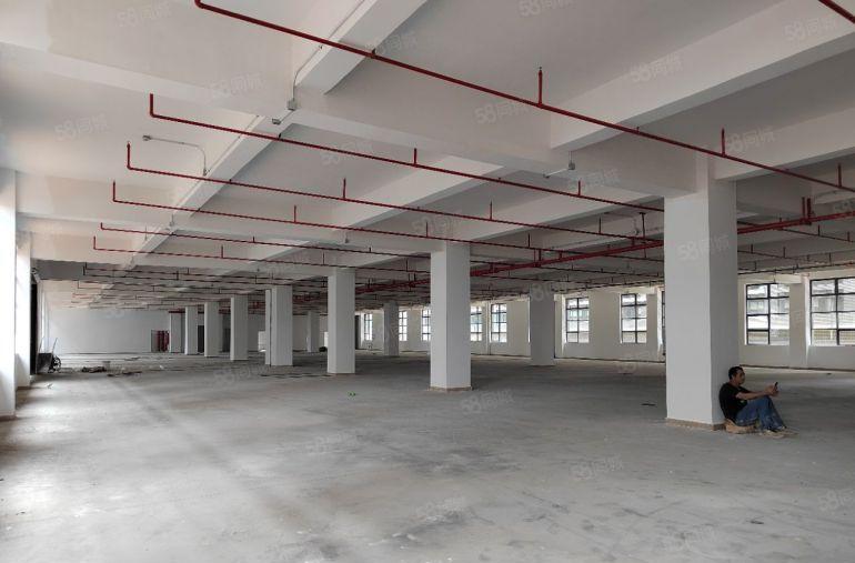 清溪青皇高速路口全新红本独院50000平厂房出租可分租