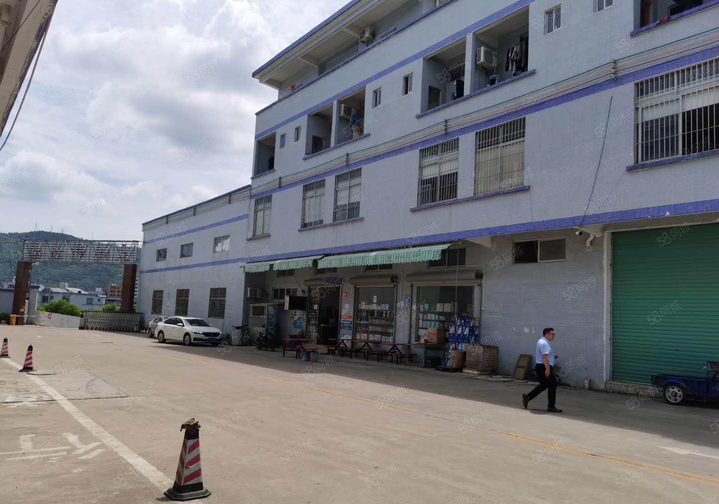 清溪6000平原房东独门独院出租可分租1000平起分