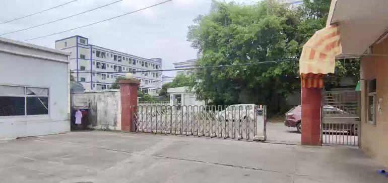 清溪三中原房东独院4862平5年不递增实际面积拎包生产出租