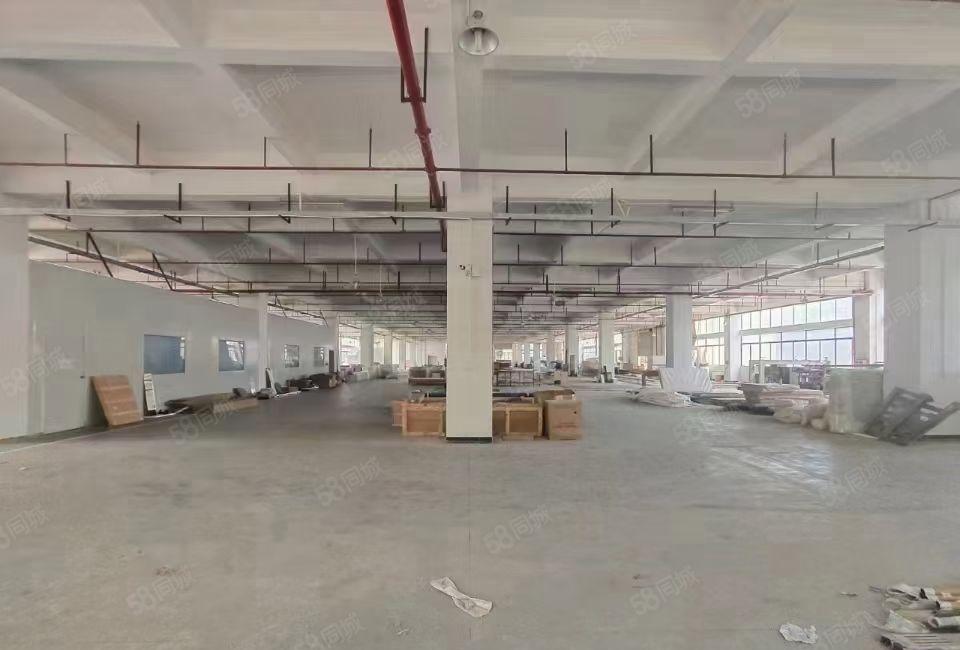 清溪大埔新出原房东18400平方重工业厂房大小分租