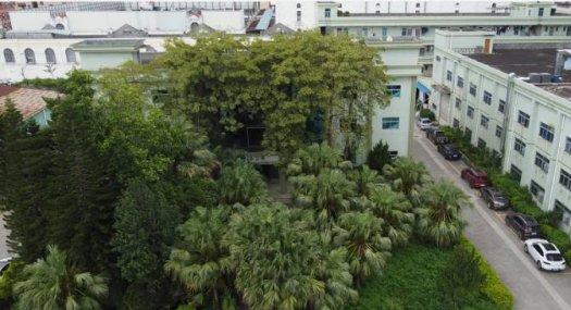 东莞东莞市 东莞市塘厦镇莲湖宝源路2号3900㎡ 厂房出租层高3米 独院 可环评