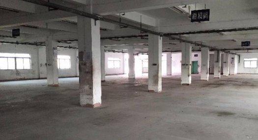 塘厦田心村新出原房东独门独院标准厂房800平米出租