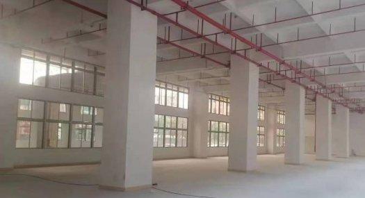 广深沿江高速麻涌出口2公里水乡大道旁156000㎡ 厂房出售层高7.2米 配电4000KVA