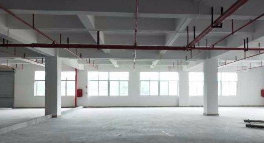 可办环评凤岗金凤凰科技园出租楼上4300平可分租交通方便