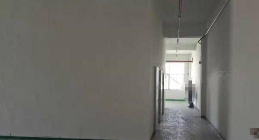 靠深圳 主干道旁 凤岗雁田楼上带装修办公室厂房出租1300平