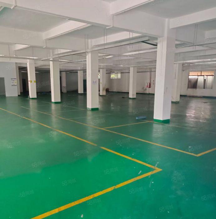 横沥镇石涌工业区厂房出租