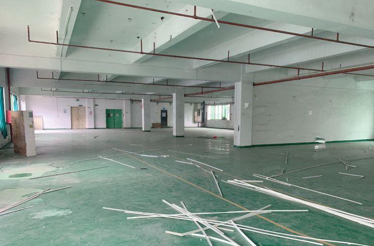 横沥镇原房东独门独院厂房仓库出租