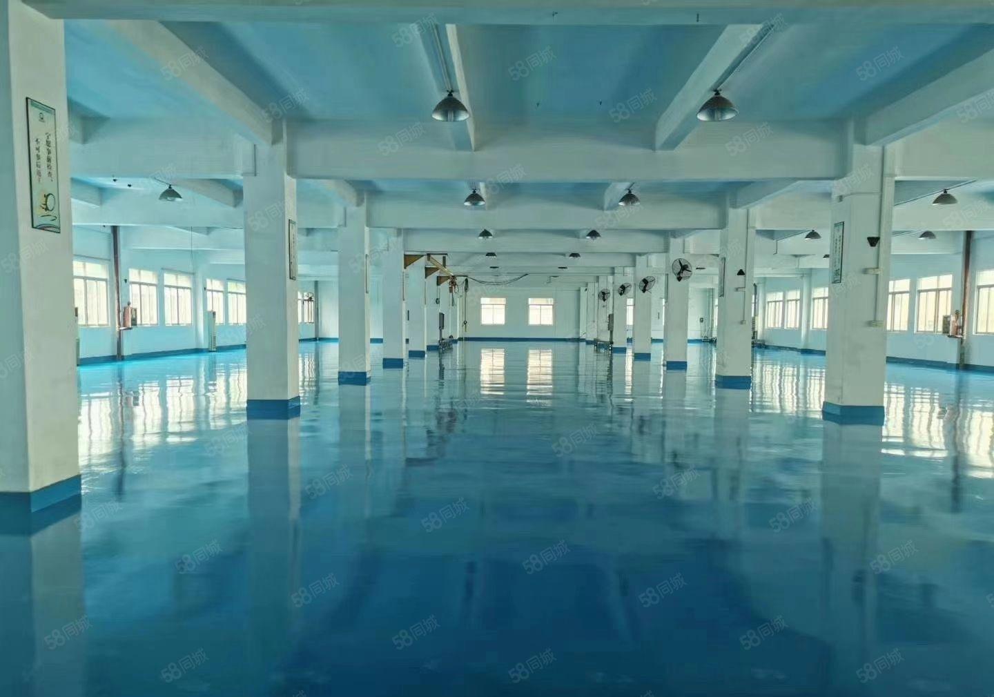 横沥镇三江工业区厂房出租一楼1000平方高6米带装修可办环评