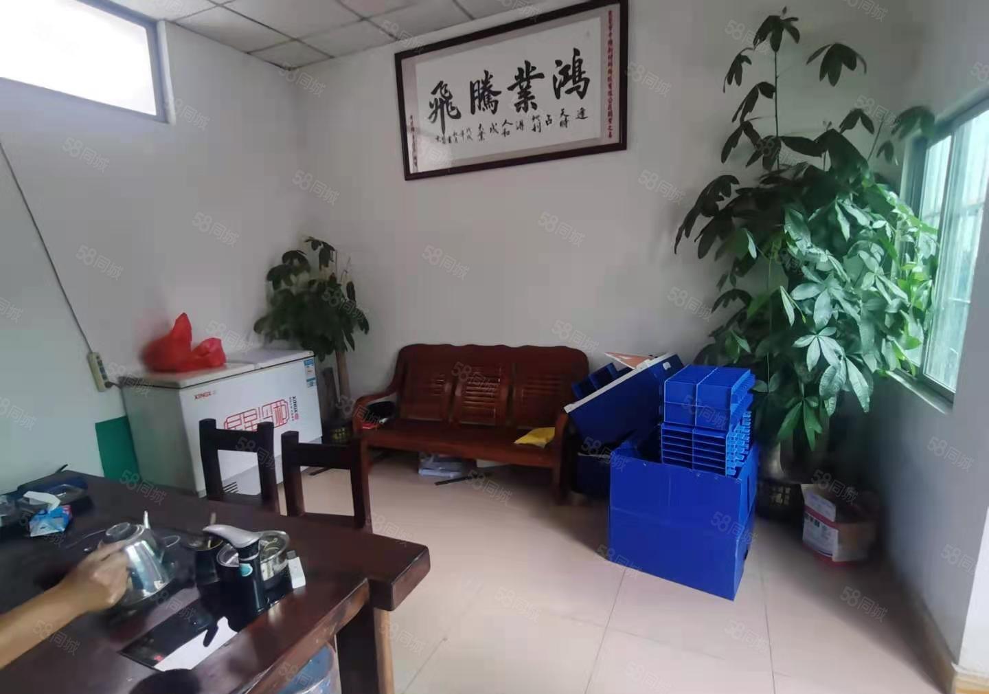 横沥镇原房东出租独院单一层厂房，层高七米，可办环评，交通方便