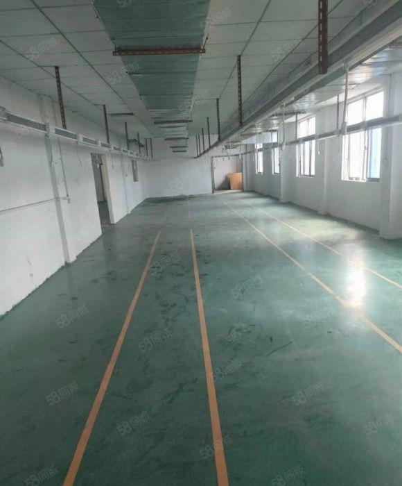 横沥镇6 块一平厂房三楼 800 平出租现成办公室水电齐全