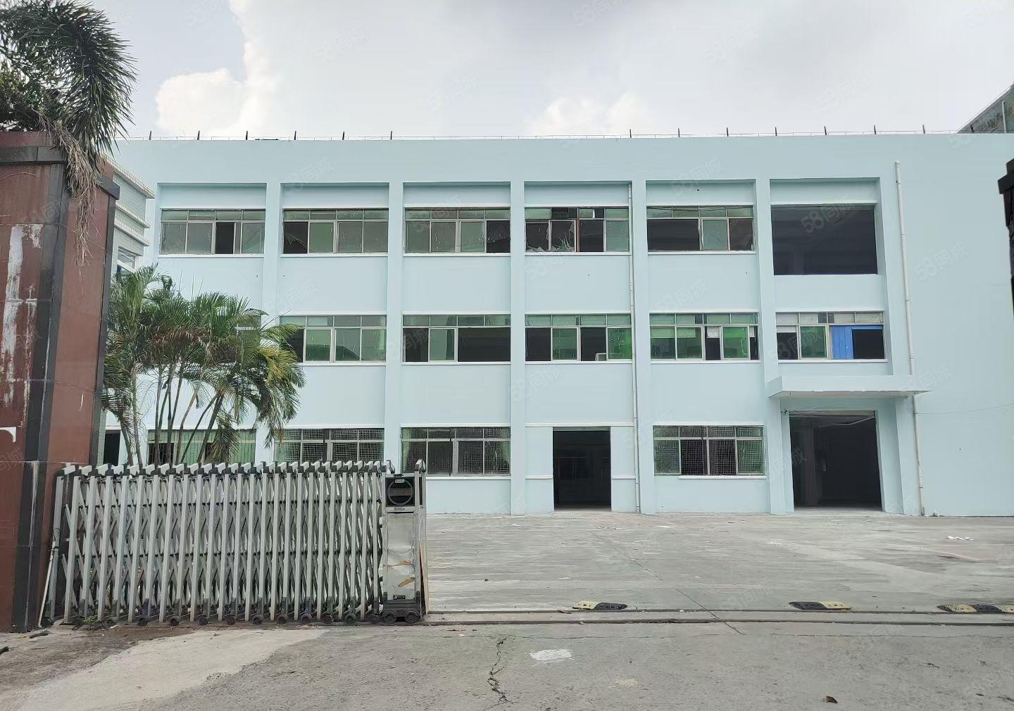 横沥大型工业区新出原房东独院标准三层15000平方厂房出租