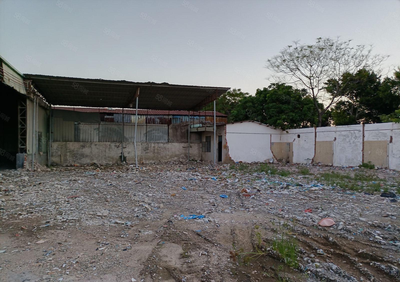 横沥新出原房东单层独院1250平方，空地大，适合做特殊行业