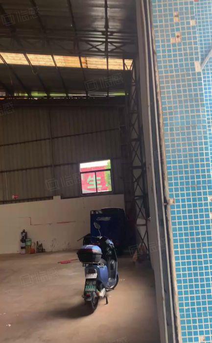 横沥镇西城工业区内独栋钢结构厂房出租