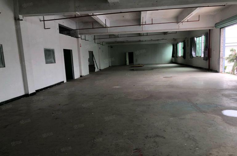 横沥原房东标准厂房独院低价出租