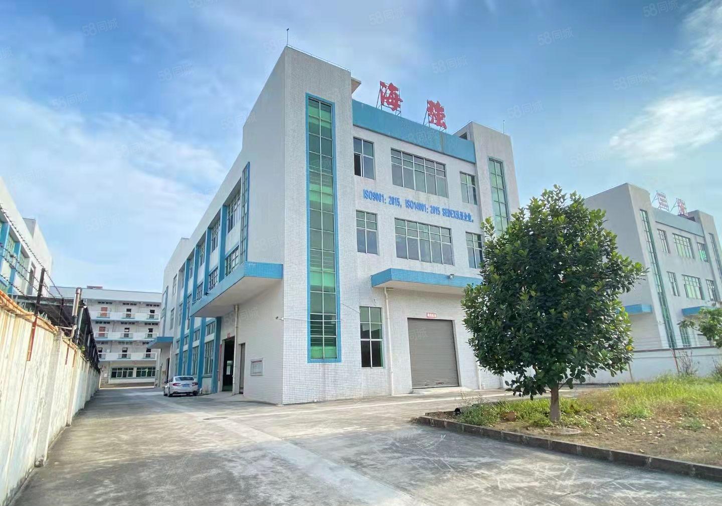 横沥镇国有红本独院厂房6200平米花园式厂房，工业用地可环评