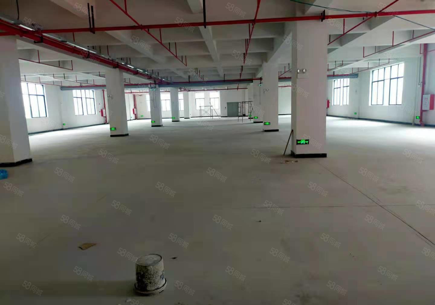 横沥镇三江工业区旁边新建标准厂房出租，喷淋消防，空地超大！