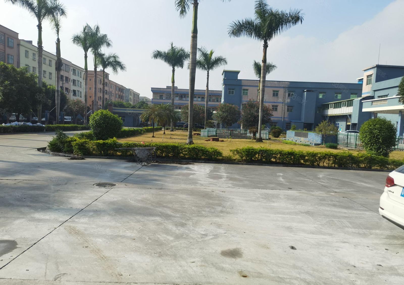 横沥新出原房东单一层500到3000平方中间无柱子