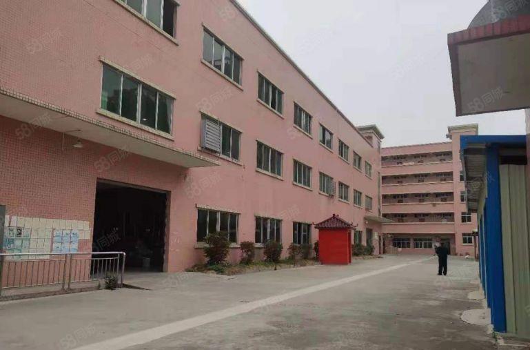 横沥镇工业聚集区内独院标准厂房带独立办公楼厂房出租