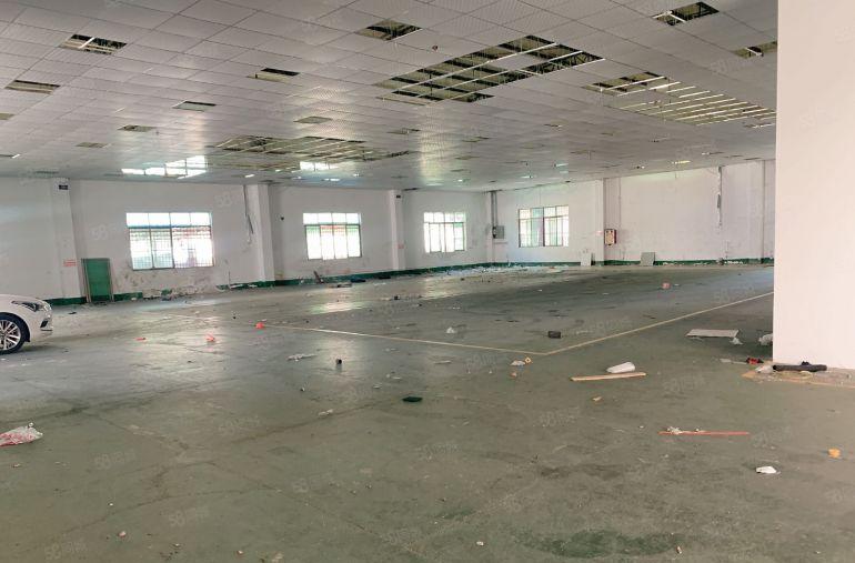 横沥镇东部快线边上新出砖墙到顶单一层独院厂房出租