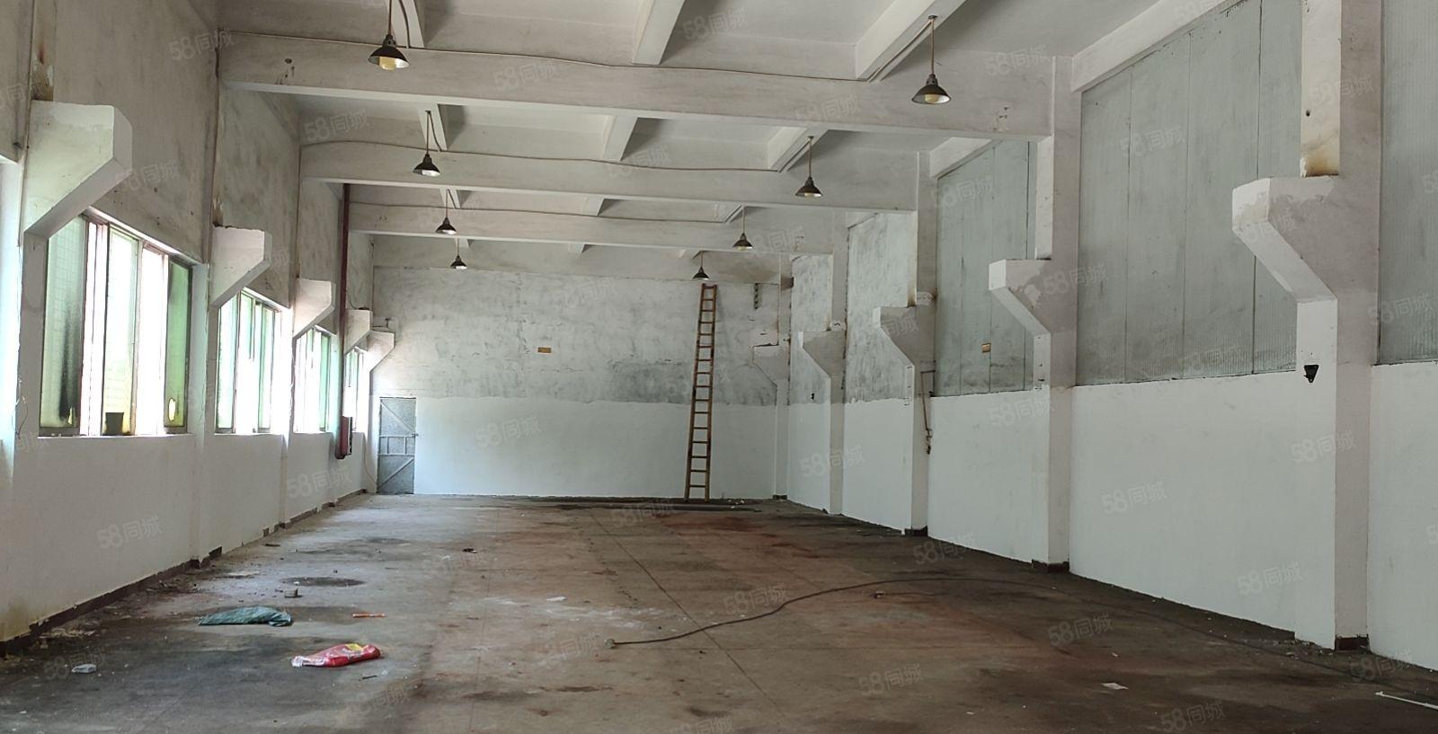 横沥模具城附近新出个人房东直租一楼500平方，带现成两层阁楼