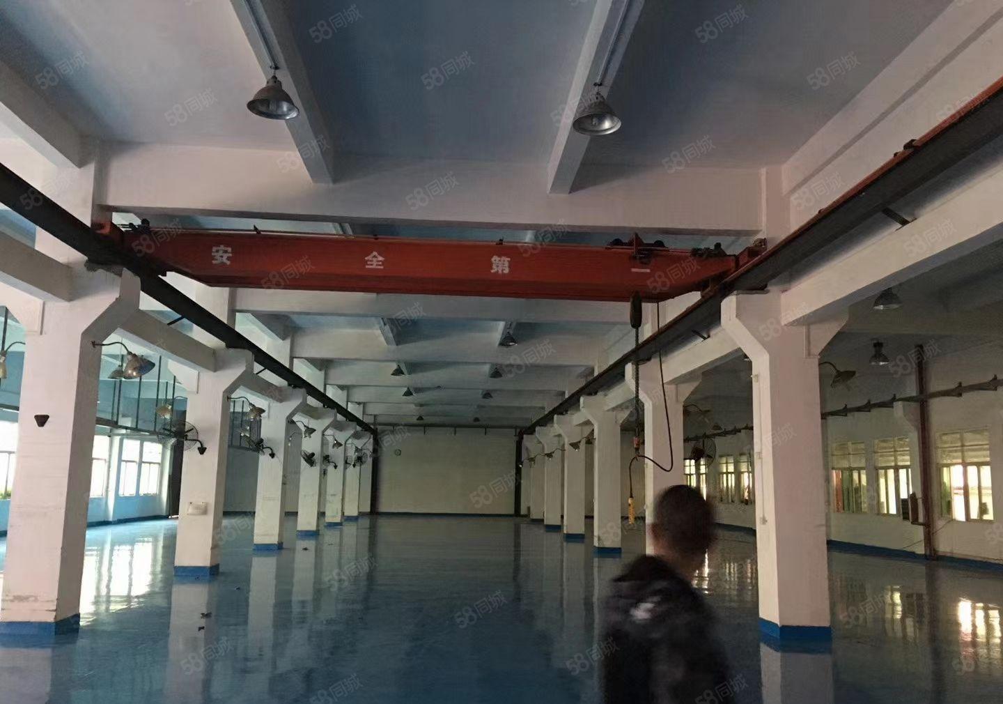 横沥镇厂房出租1000平方带现成装修高6米可办环评空地超大