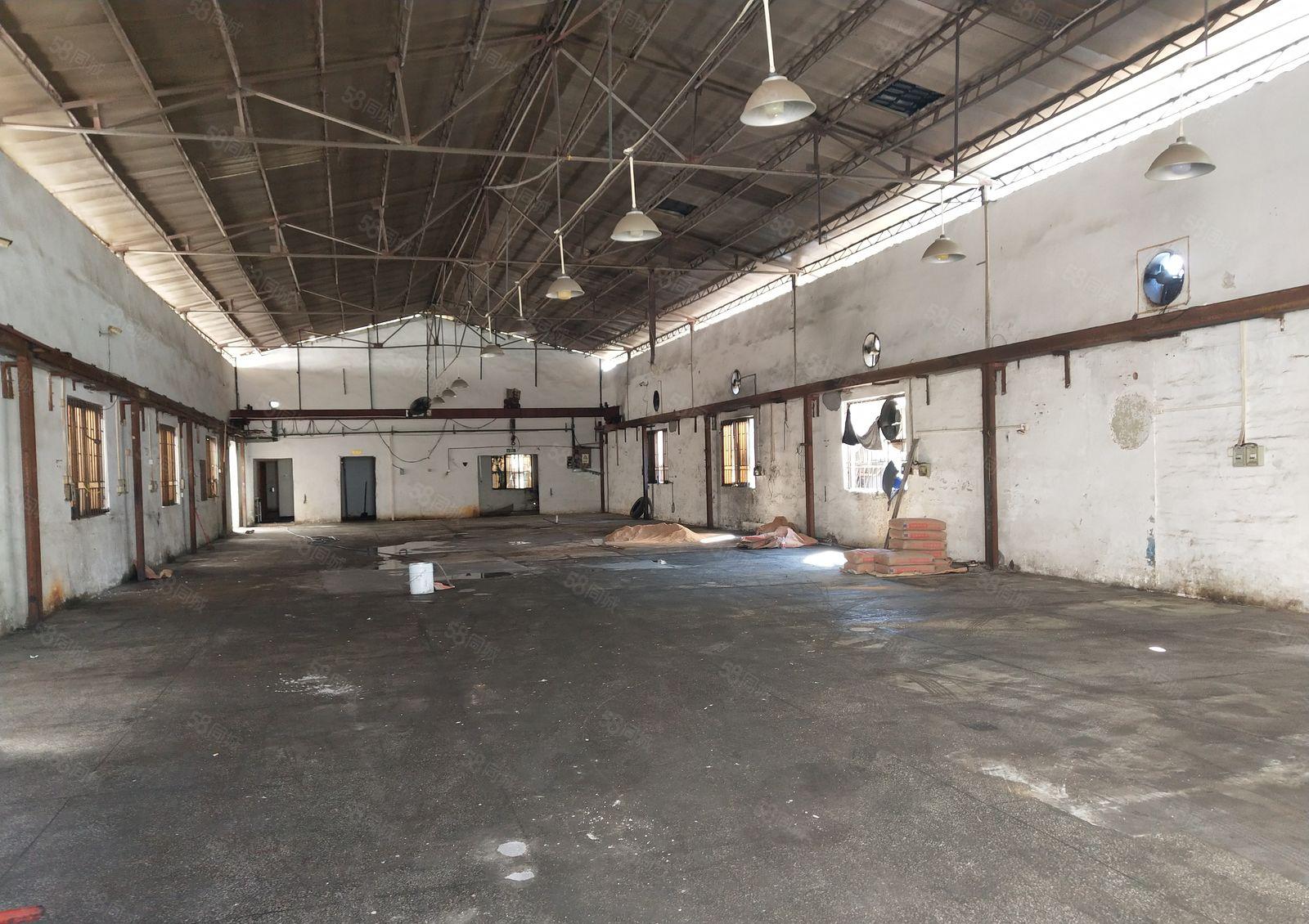 横沥镇650平单一层钢构厂房出租带航车免费使用空地大宿舍按需