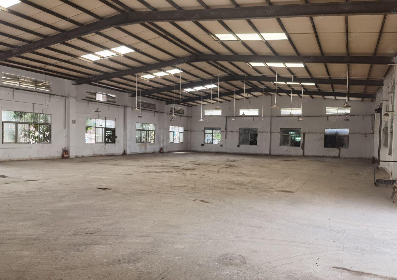 横沥新出原房东单一层500到3000平方中间无柱子