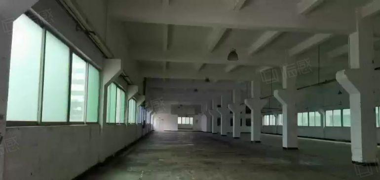 横沥镇新出原房东独门独院厂房出租