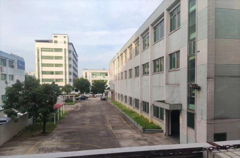 原房东8元无公摊甩租横沥常平东坑经典小独院三千平一楼红本出租