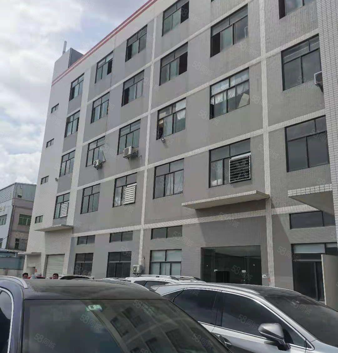 横沥镇山厦工业区标准厂房一楼1800平方，高度6.8米带牛角