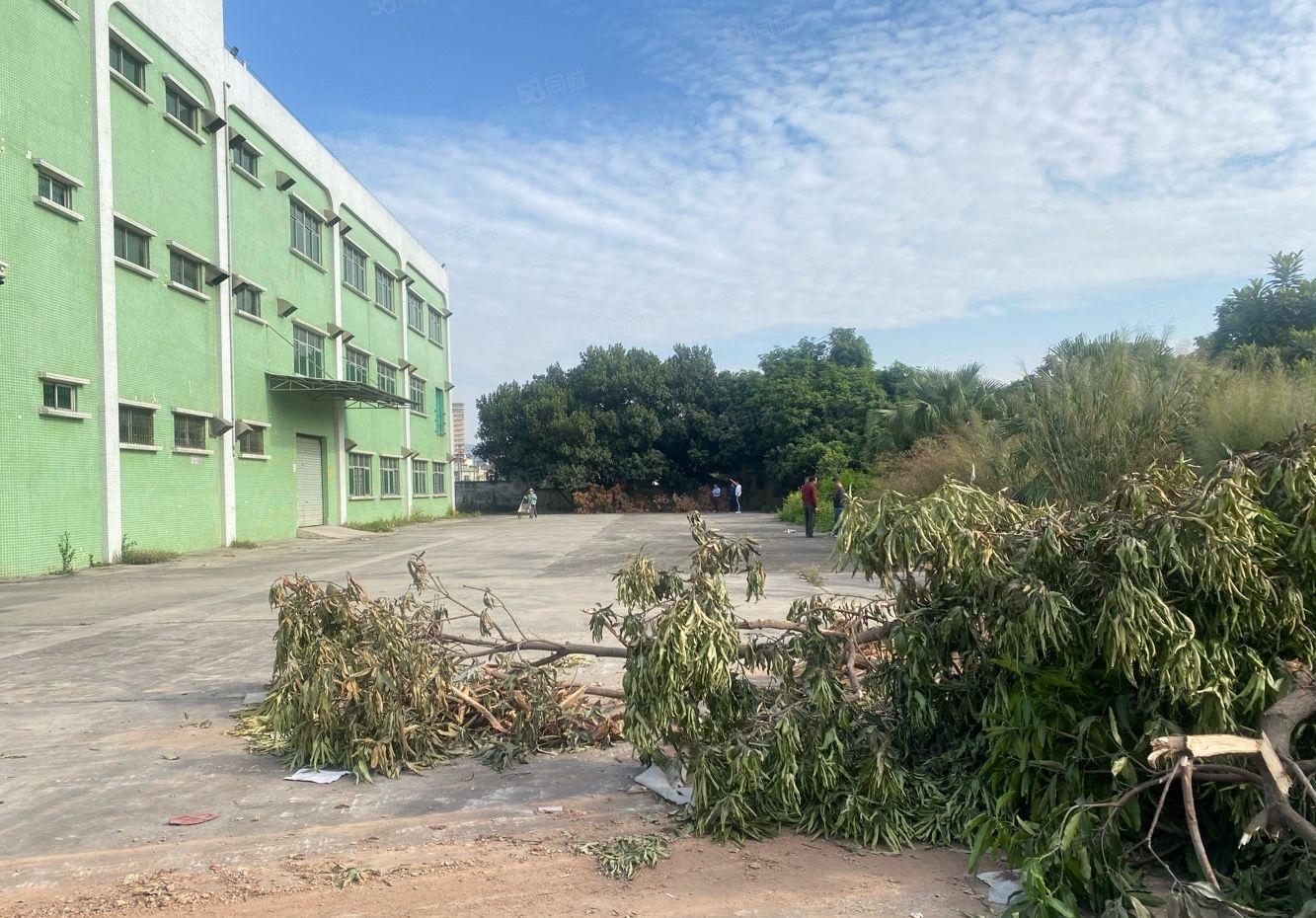 横沥新出漂亮标准厂房出租，可分租空地大。适合小加工电子仓库