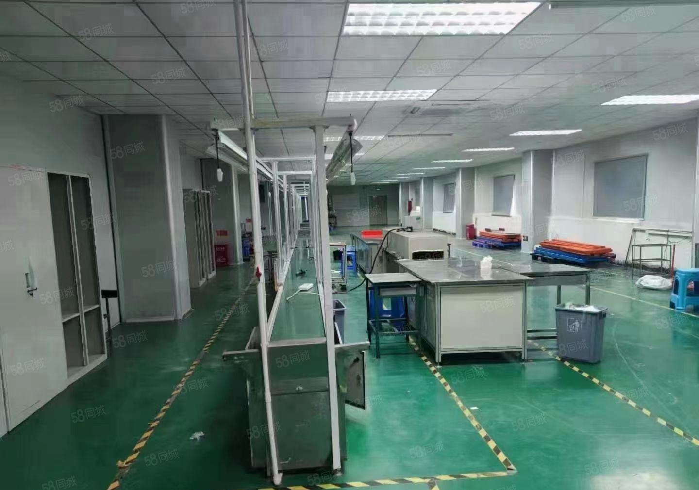 横沥大型工业区新出原房东独院标准三层15000平方厂房出租