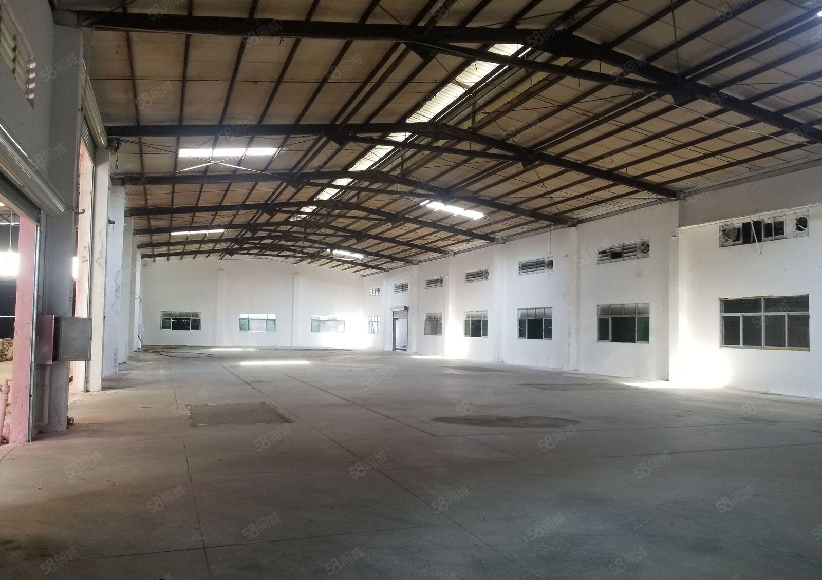 横沥镇花园式厂房出租4800平方独门独院砖墙钢构厂房