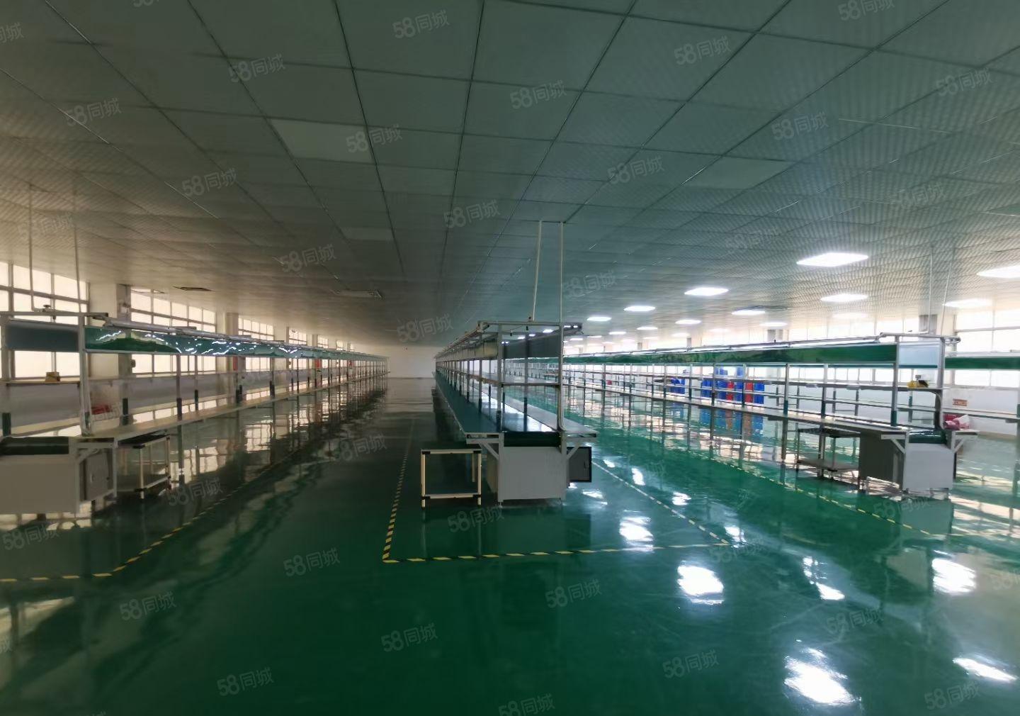 横沥镇原房东独院厂房4000平方水电齐全一楼6米高可办环评。