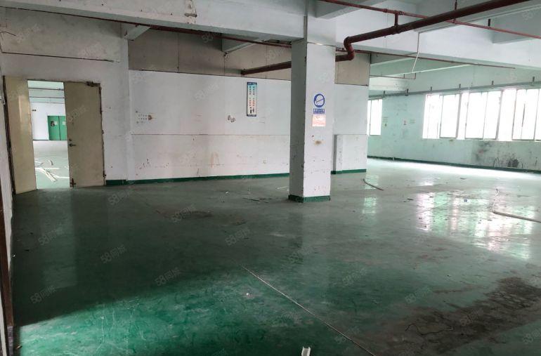 横沥原房东标准厂房独院低价出租