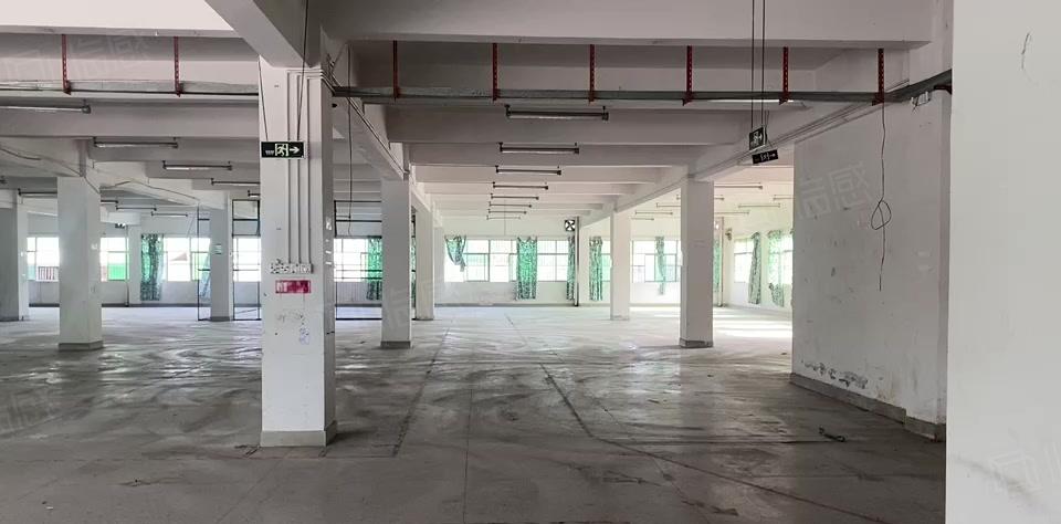 横沥新出漂亮标准厂房出租，可分租空地大。适合小加工电子仓库