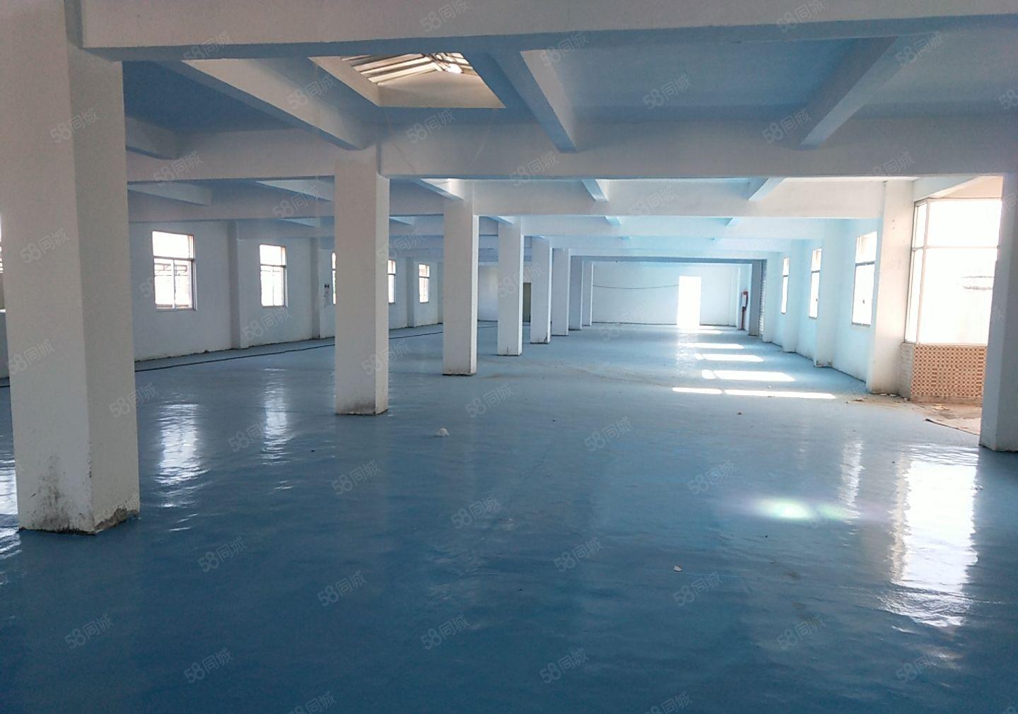 低价厂房经典小独院4800平 工业用地成熟工业区配套齐全