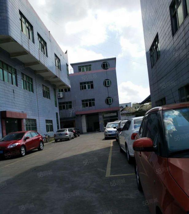 厂房出租横沥模具城原房东独门独院分租一楼实际面积500平方