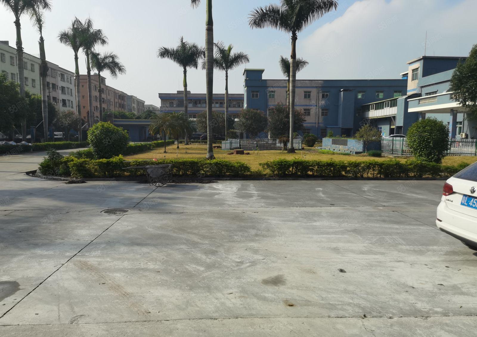 横沥新出原房东单一层500到3000平方中间无柱子