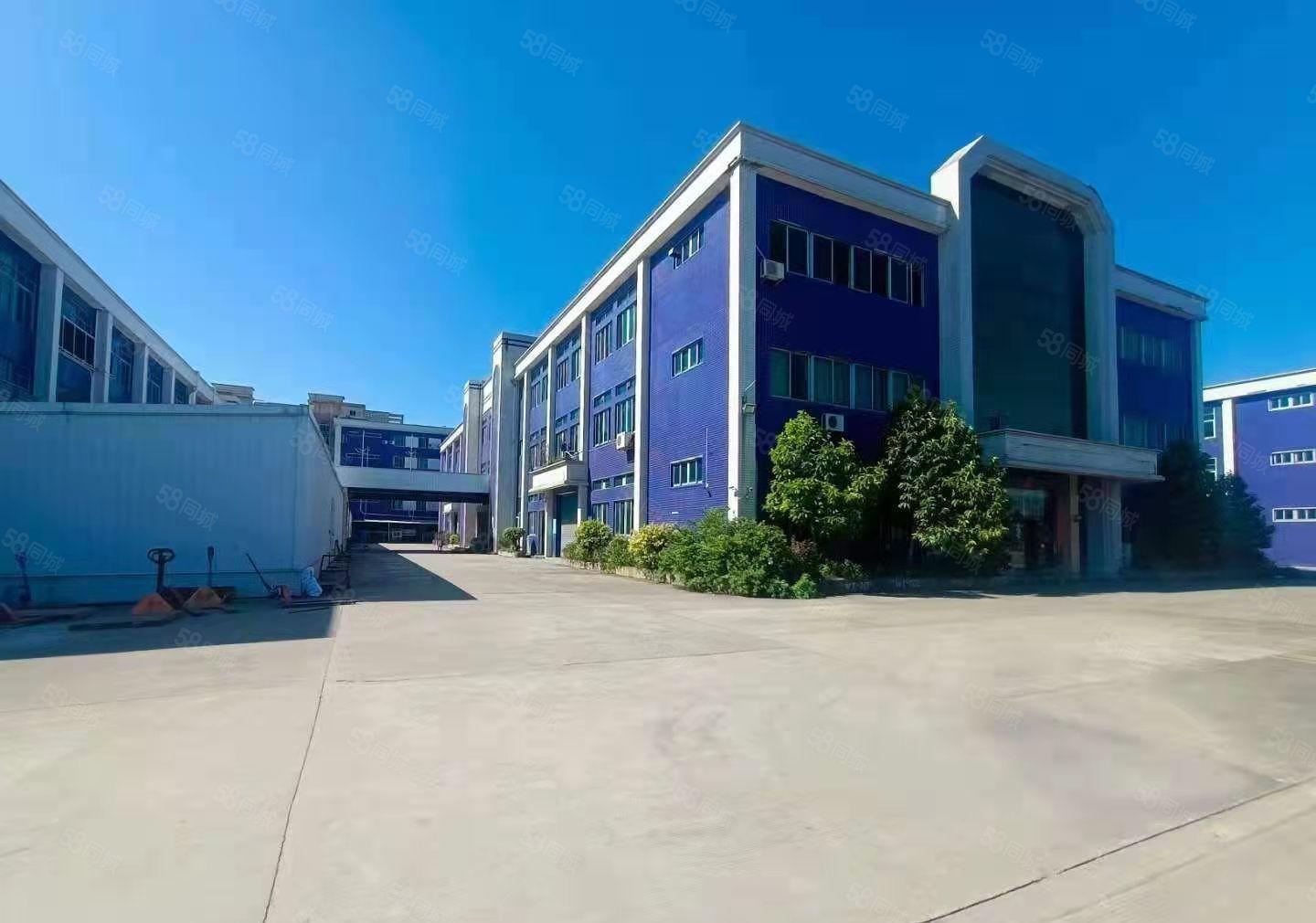 横沥镇新出原房东经典独院厂房出租上市公司形象现成办公室