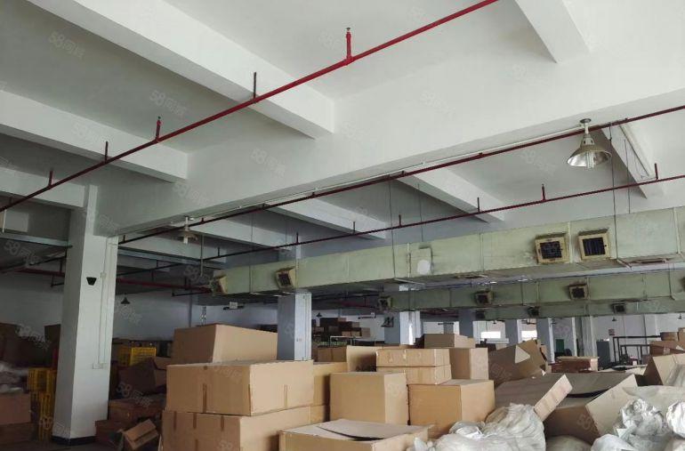 横沥镇靠茶山原房东独院厂房9000平低价直招