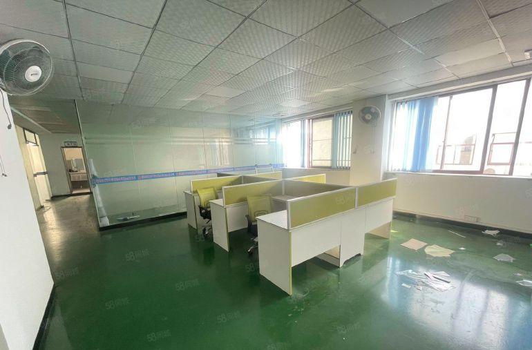 横沥仅租11元，抄底，原房东独门独院标准厂房0公摊空地非常大